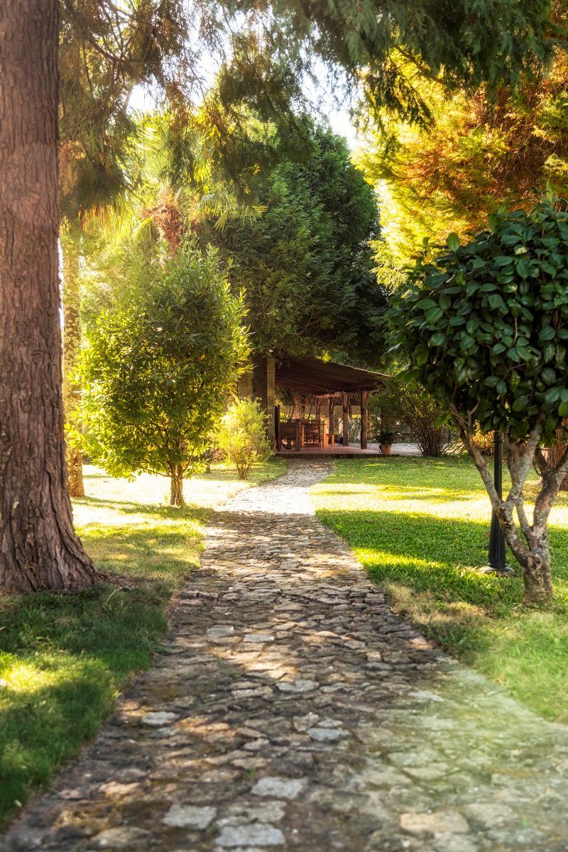 Casa Das Paredes Fafe Dış mekan fotoğraf